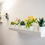 דירה Stagabin Little Loft Near Porta Susa Station And Subway