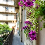 Stagabin Little Loft Near Porta Susa Station And Subway דירה טורינו