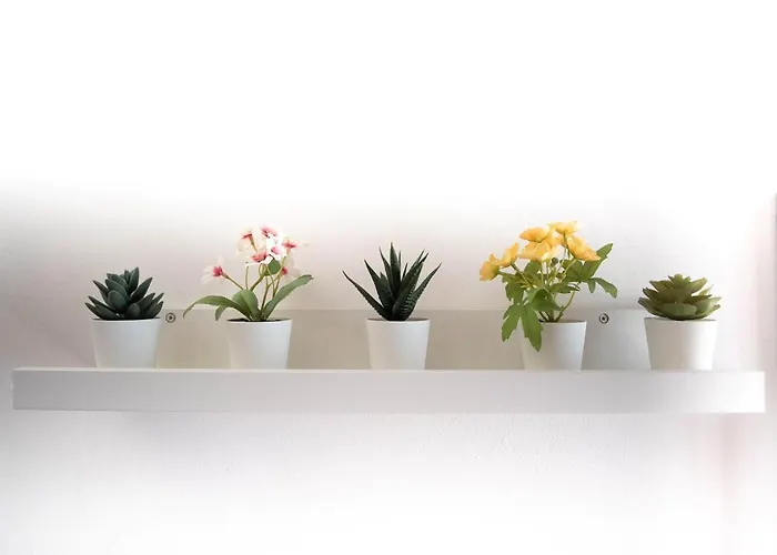 Stagabin Little Loft Near Porta Susa Station And Subway *