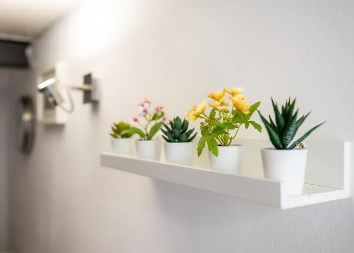 Apartment Stagabin Little Loft Near Porta Susa Station And Subway