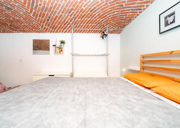 Stagabin Little Loft Near Porta Susa Station And Subway Turin